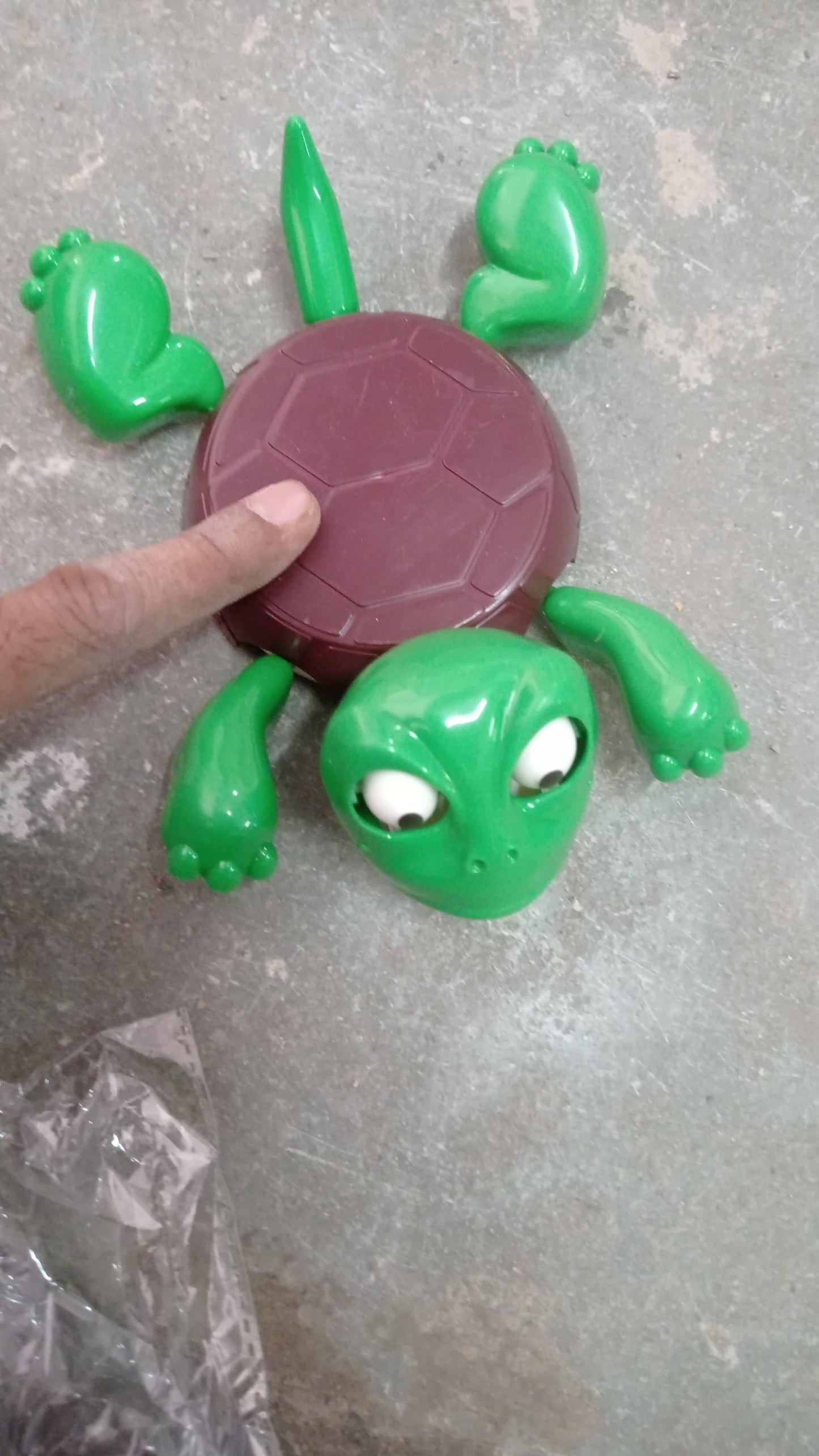 Funny Turtle Coaster™